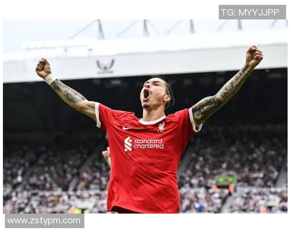 努涅斯在赛场上的崛起与挑战：探讨这位新星的未来发展潜力与影响力