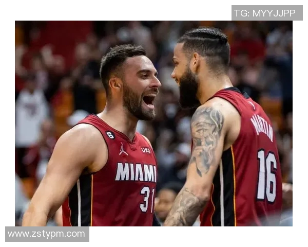 2013年热火与公牛的激烈对决回顾与分析