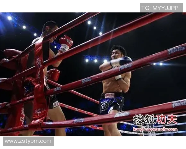 佐藤嘉洋与徐琰巅峰对决谁能问鼎武道之巅