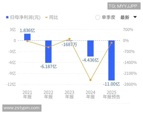 山东西王与西王集团的战略合作与发展前景分析 山东西王与西王集团的战略合作与发展前景分析